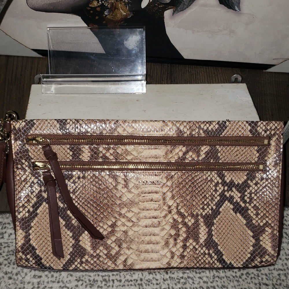 Coach Snakeskin & Lambskin Clutch